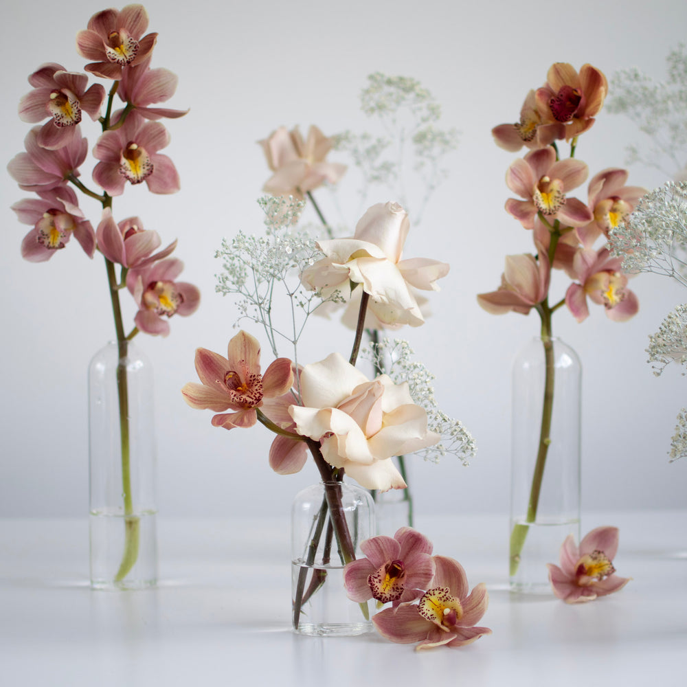 Bud vase Arrangement – Plantita & Co. Bloom Bar & Studio