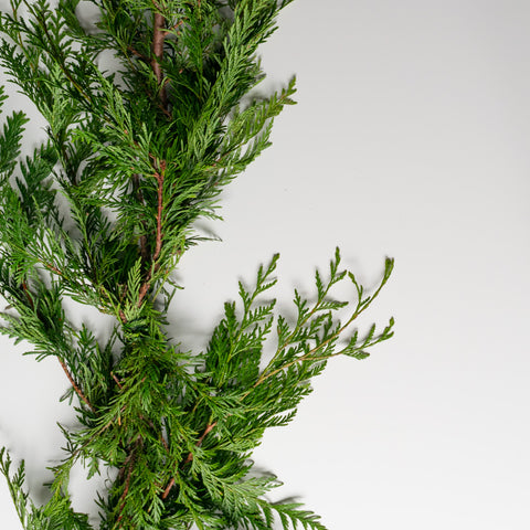 A close-up of cedar boughs made into a garland.