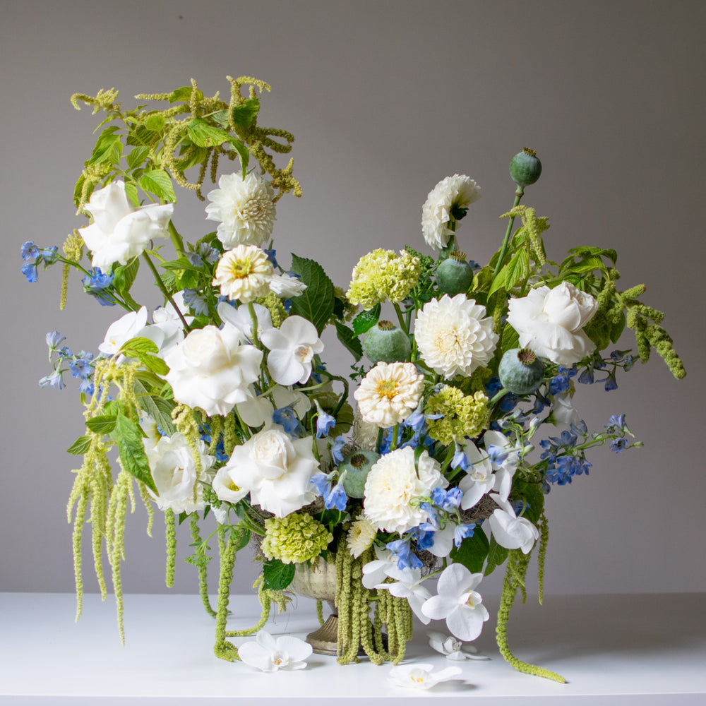 Toronto Flower Delivery - Premium Floral Arrangements